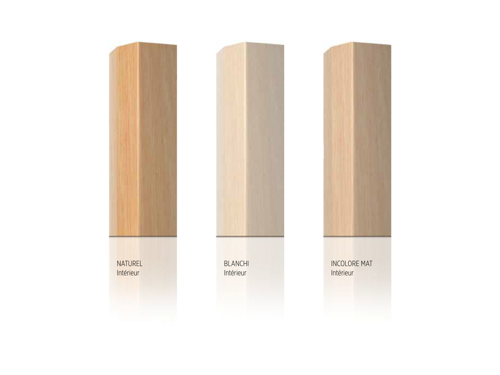 fenetres-bois-couleurs_2